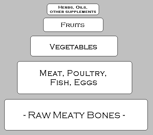 "food pyramid" by TL